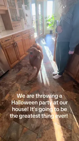 Halloween is coming! 