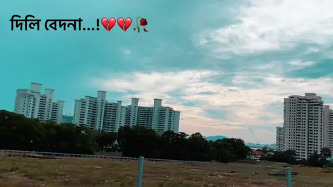 দিলি বেদনা...!💔💔🥀🥀#fyp #parati #parati 