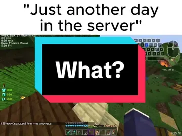Just a normal day in the server #Minecraft #minecraftserver #meme #fyp #fyppppppppppppppppppppppp 