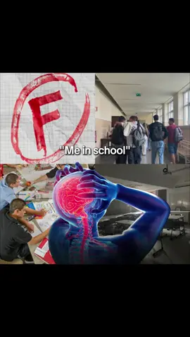 Tag bro #entrepreneur #moneytok #onlinebusiness #dropshipping #ecommerce 