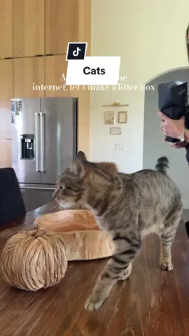 Cat owner? Us too! 🐈🔥 #fotoncandle #pearledcandle #candle #candlelover #catlover 