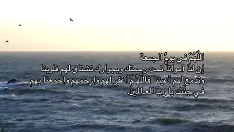 اذكرو جدي ومنصور وجميع موتاً المسلمين بالرحمه والمغفره❤️|#صدقة_جاريه_لجدي_الله_يرحمه #اللهم_صل_وسلم_على_سيدنا_محمد #oops_alhamdulelah #يوم_الجمعه  