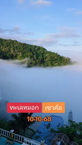 วันนี้อากาศเย็น เอาหมอกสวยๆ มาฝากทุกคนครับ #เขาค้อ  #ทะเลหมอกเขาค้อ 