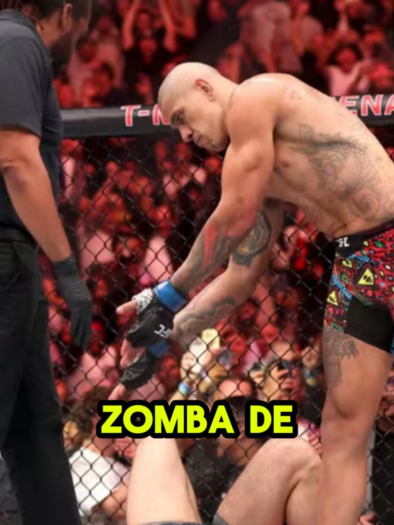 Alex Poatan zomba de Ankalaev #noticias #UFC #alexpoatan
