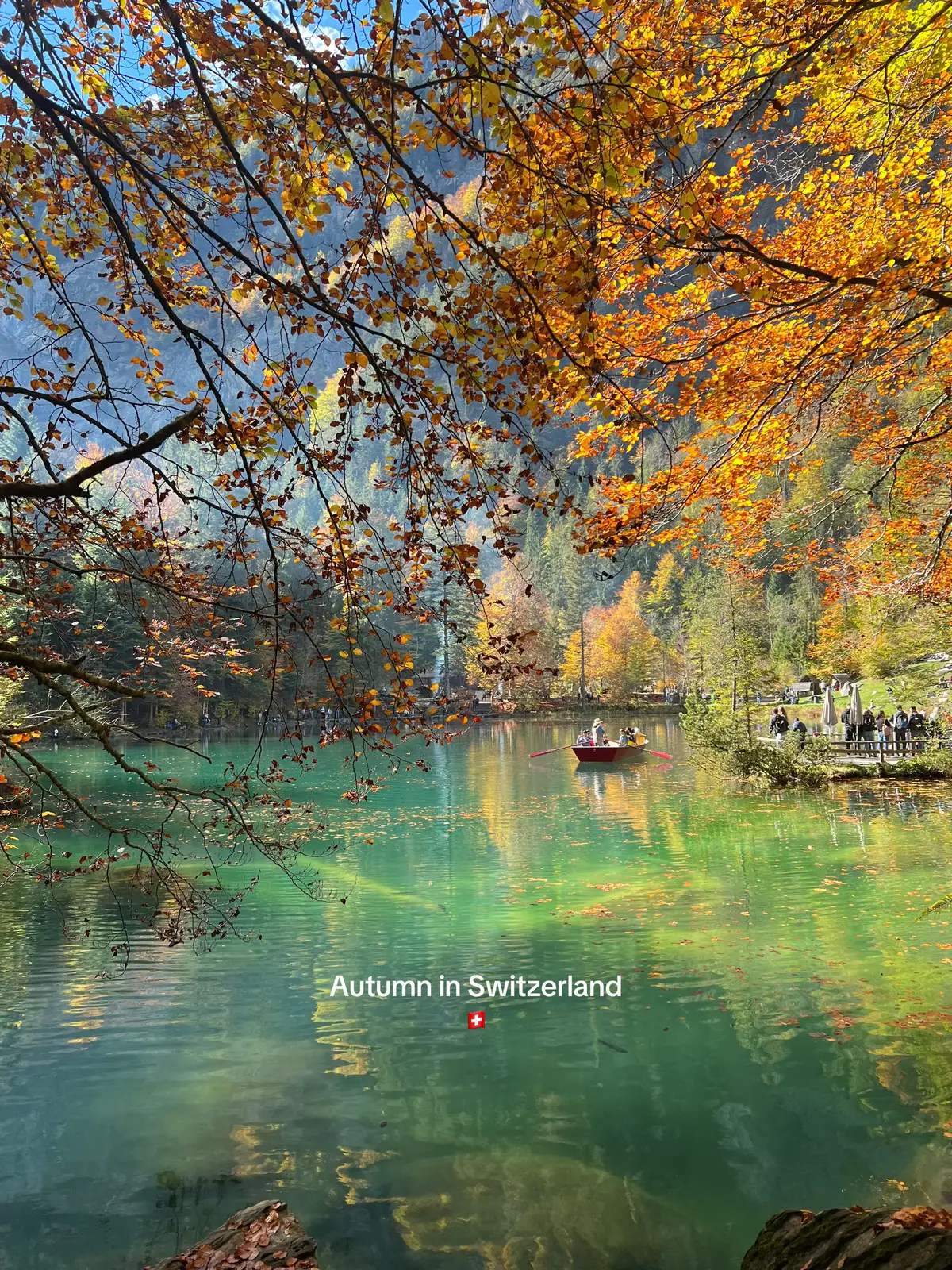 #travel #switzerland #fypage #swissbeautiful #fyp 