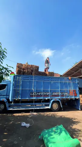 Kehidupan yang sudah allah atur, tidak sepantasnya kita khawatirkan. #trukmaniaindonesia #pyfツ #fypシ゚viral #foryoupage #tutorfypdong 