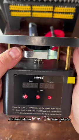 #backyardchickens #deerfeeder #automatic #fish #pond 