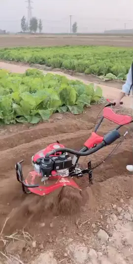 REAIM mini tiler alat bajak sawah #MesinBajakMini #Cultivator52CC #AlatTaniModern #OlahTanahCepat #FYP 