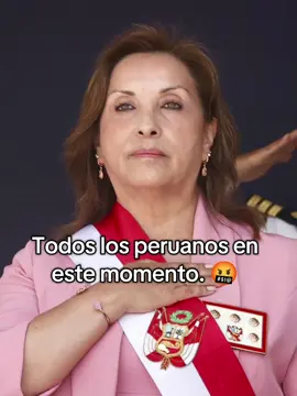 Todos los peruanos en este momento... 🫡 #dinaboluarte #vacancia #fuera #perú🇵🇪 