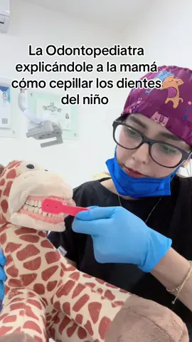 Explicándole a los papás lo sencillo que es cepillar los dientes de los pequeños 👧🏻👶🏻🦷😁 Como les va en casa …🏠 😅 #humor #odontopediatria #dentistaparaniños #ortodoncia  👩🏻‍⚕️Dra. Carolina Ceballos  Odontopediatra & Ortodoncista  Ced. Esp. 12664525 📲3310423720 📍Calz. Independencia Norte 2175, local 29. Colonia Independencia. 44240 Guadalajara, Jalisco. Lisboa Plaza Comercial