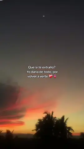 🫀❤️‍🩹 #Amor#paratiiii
