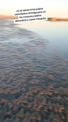 #pulpitos #parati #contenido #viral #aventura 