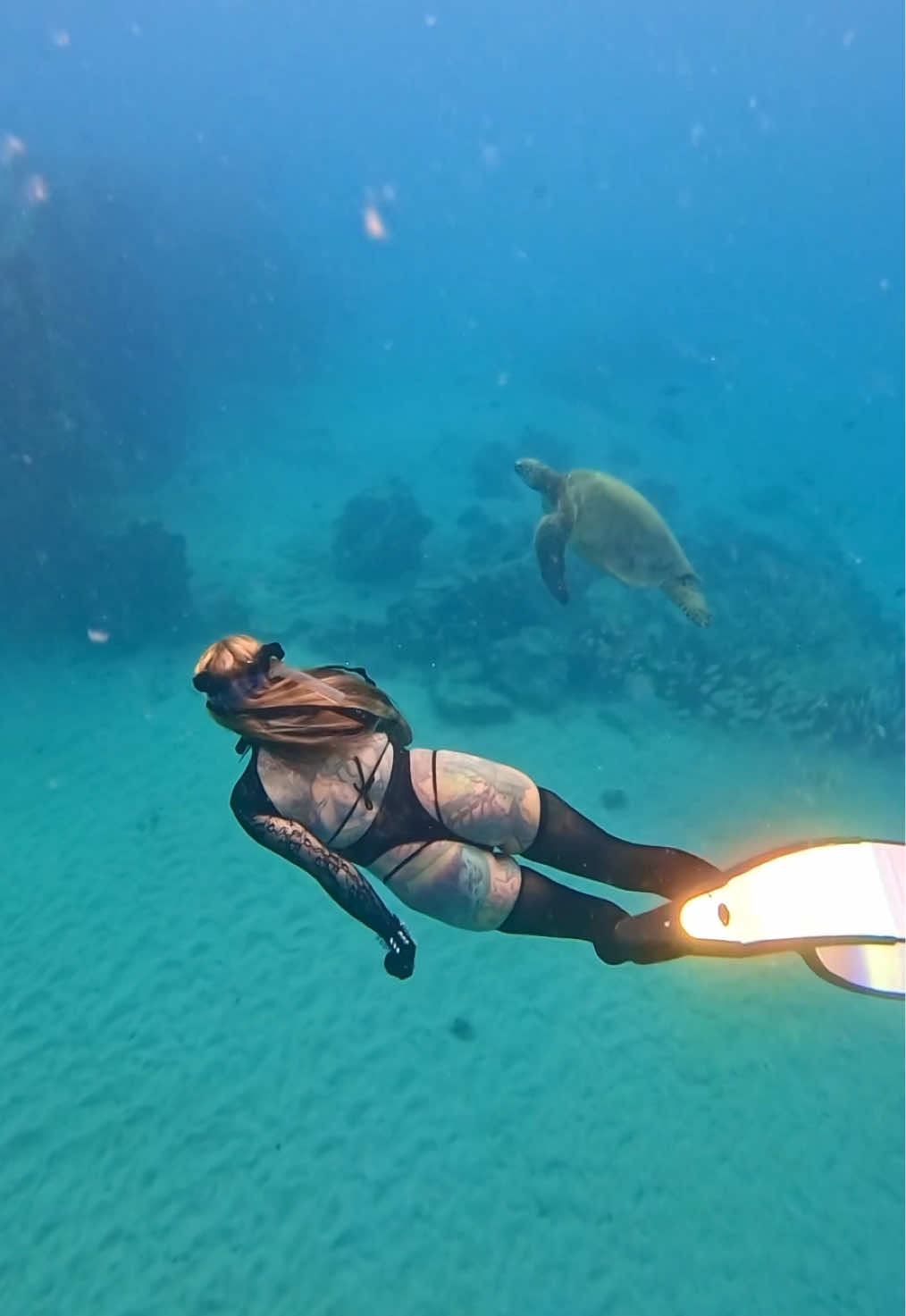 Turtle time #turtle #underwater #freediver #freediving #ocean 