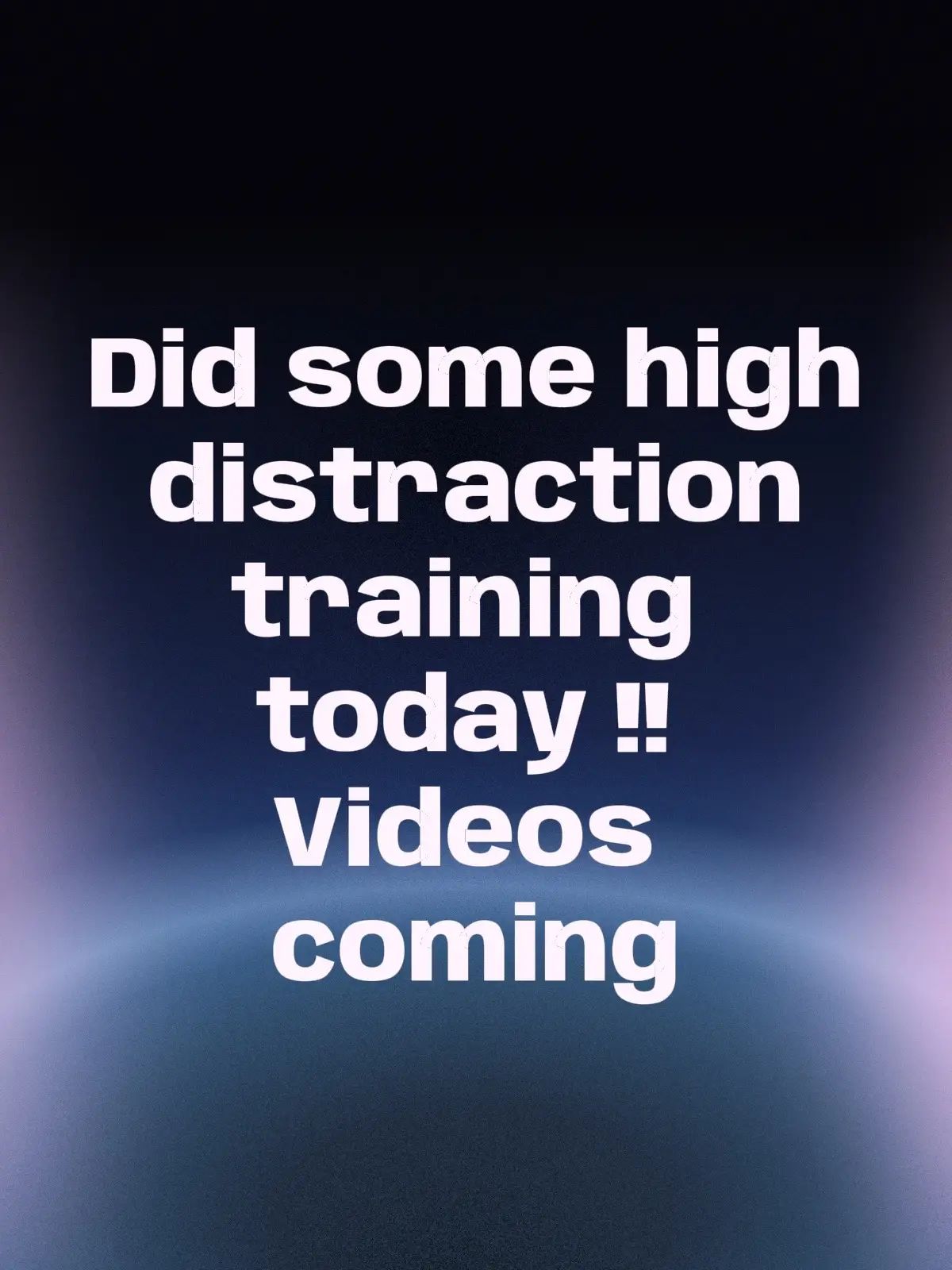 #distractiontraining #servicedog #servicedogtraining #DogTraining #distractions 