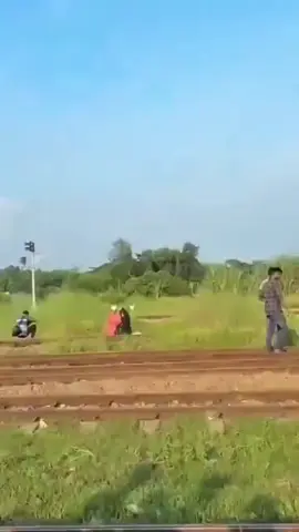 #creatorsearchinsights#foryoupageofficiall 