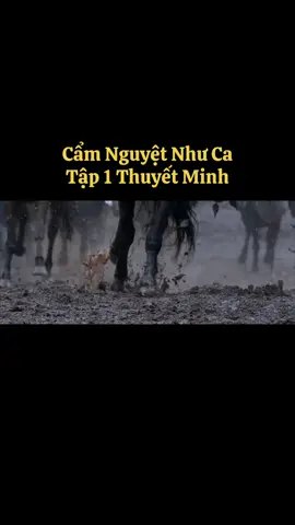 Cẩm Nguyệt Như Ca Tập 1 full #xuhuong #tiktok #phimhaymoingay #phimcotrangtrungquoc #camnguyetnhuca 