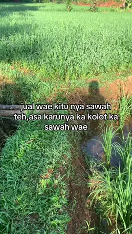 daharmah jeung jukutwe😌  #foryoupage #lewatberanda #viral #katakatasunda #fyp 