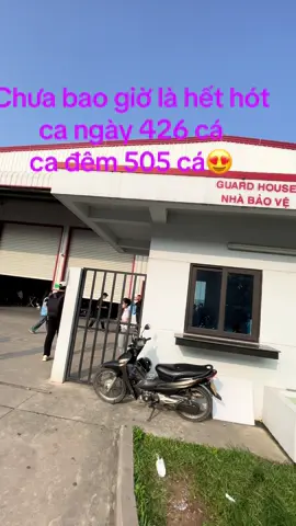 #việclamanam @ANAM TUYENDUNG #anamvinatuyendung 