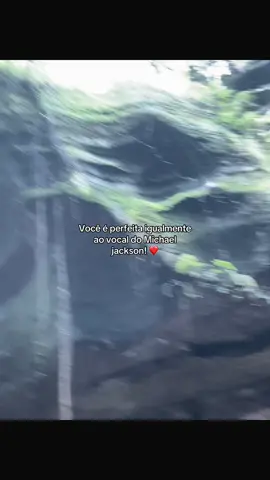 o vocal de thriller sempre foi uma obra-prima!!  #michaeljackson #reidopop #thriller #fyp≥› #foryoupage 