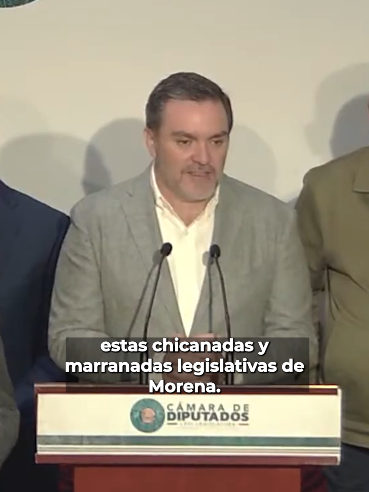“Marranada de Morena