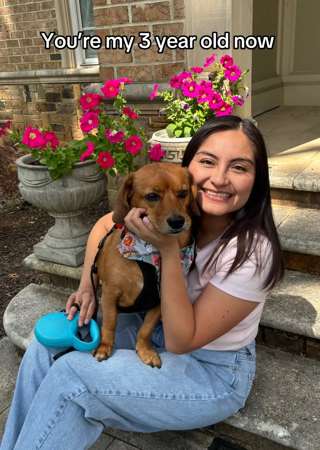 I always wanted to get my own dachshund as an adult. I grew up with my grandma having dachshunds my whole life, she loved them! So when I decided to get a dog I wanted to rescue one and an opportunity to rescue a dachshund-mix came by! And the greatest part was he looked so much like my grandma’s last dachshund Sparky. Love my boy so much, I truly feel he was sent from my grandma to complete my life in so many ways. 💗 #dogmom #dachshunds #dachshundmix #foryoupage #fyp 