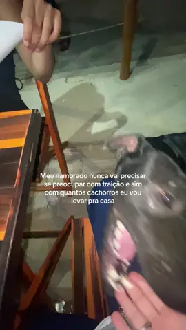 É isso me define como pessoa  #fy #fyp #fyppppppppppppppppppppppp #animais #cachorros