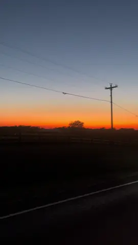 Just taking a moment… #crickets #backroads #texas 