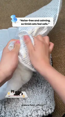 He’s totally in love with this mat.#PetsOfTikTok#PetProducts#SafeForPets#PetEssentials#PetTok