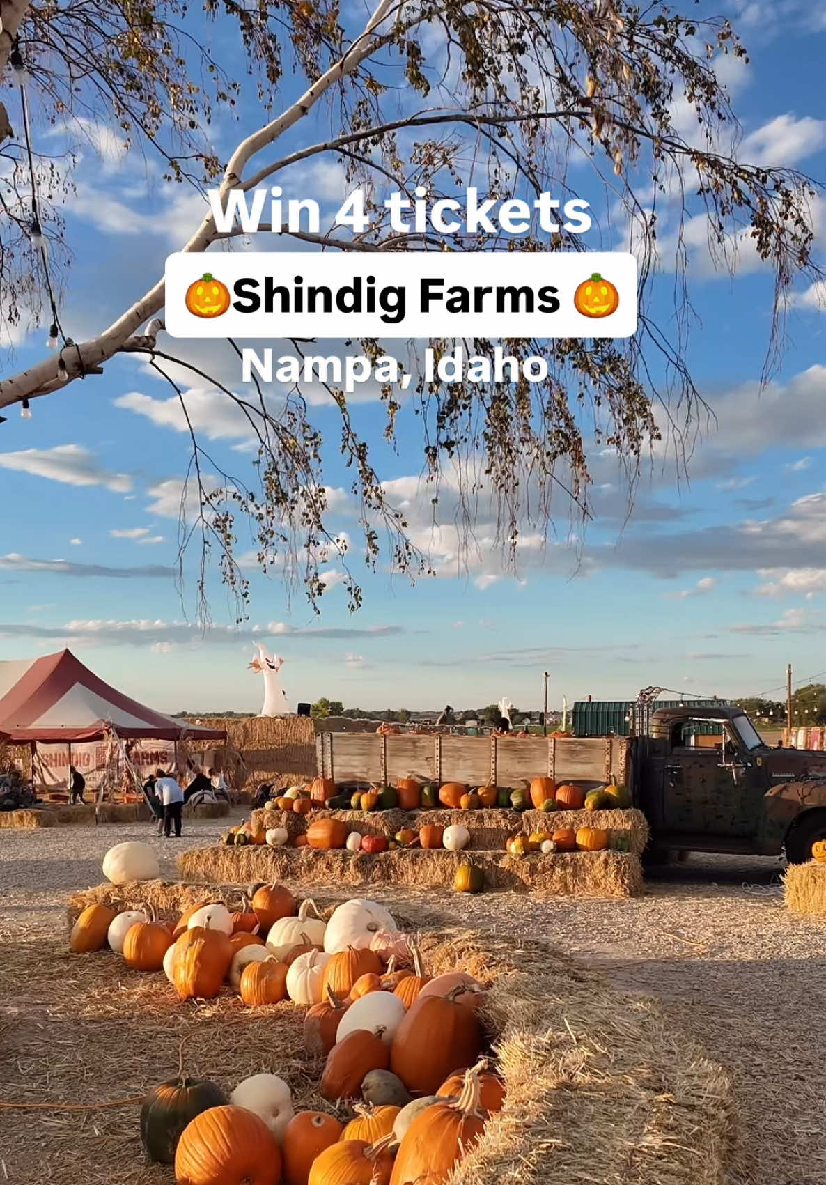 🎃 GIVEAWAY TIME! 🎟️✨ We’re giving away 4 admission tickets to one of the best fall spots in the Treasure Valley - Shindig Farms @shindigfarms in Nampa! 🍁 To enter the giveaway: 1️⃣ Follow @shindigfarms + @guidethrough_boise  2️⃣ Like this reel🎃 3️⃣ Tag who you’d bring 👇 (each tag = 1 entry) Get ready for the ultimate autumn adventure: 🌽 8-foot Straw Maze to get lost (and laugh) in 🎃 Huge Pumpkin Patch - every pumpkin $10 or less 🛝 Giant slides, zip lines, and jump pads for the kids 🐮 Mechanical bull & corn cannon for the grown-ups 👻 Haunted Maze Nights every Saturday in October 🎟️ General admission: $12 weekdays | $14 weekends 👻 Haunted Maze: $19 (Saturdays only) Whether you’re here for pumpkins, thrills, or family fun - Shindig Farms has everything you need for a perfect fall day! 🍂 Winner announced Sunday at 6PM! Who’s ready for fall fun at the farm? 🍁 #ShindigFarms #BoiseFallFun #PumpkinPatchIdaho #FamilyGiveaway #BoiseEvents    