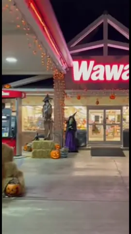 Wawa went crazy 🤪 #ForYou, #viral, #foryoupage, #tiktok, #trending