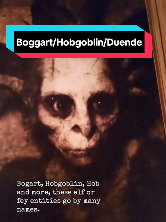 The mischievous fae ot elf entity that seems benevolent at first, but inevitably turns on its hosts, becoming as terrifying and malicious as any unclean spirit. #fae #supernatural #witchtok #fairy #horror 