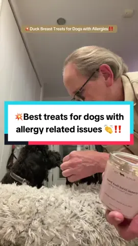 💥One of the best proteins you can feed a dog that has allergy related issues is duck‼️ 👉That’s why I give these freeze-dried, single ingredient duck breast treats for dogs and cats 👏‼️ 👉Duck breast treats for dogs and cats are: ✅High in protein ✅Rich in nutrients  ✅Low in allergens ✅Healthy fats ✅Pets love the flavor . . #h#healthydogtreatsd#dogtreatsd#doginfluencerd#doghealthtipst#tiktokfalldealsforyou@B@BLACK FOX PET FOODS