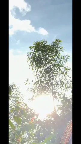 Hiện diện, xoa dịu bằng âm thanh này.. 🕊️❤️‍🩹💫🌞