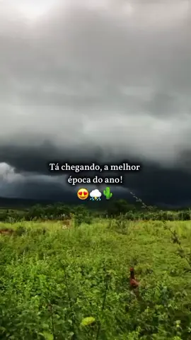 Uma das cenas mais lindas do nordeste! 😍⛈️🌵 #chuva #nordeste #novembro 