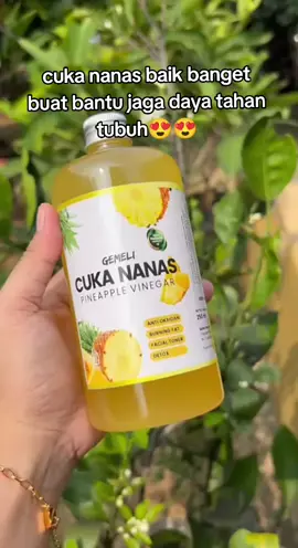 cuka nanas gemeli #cukananas #antioksidan #fyp 