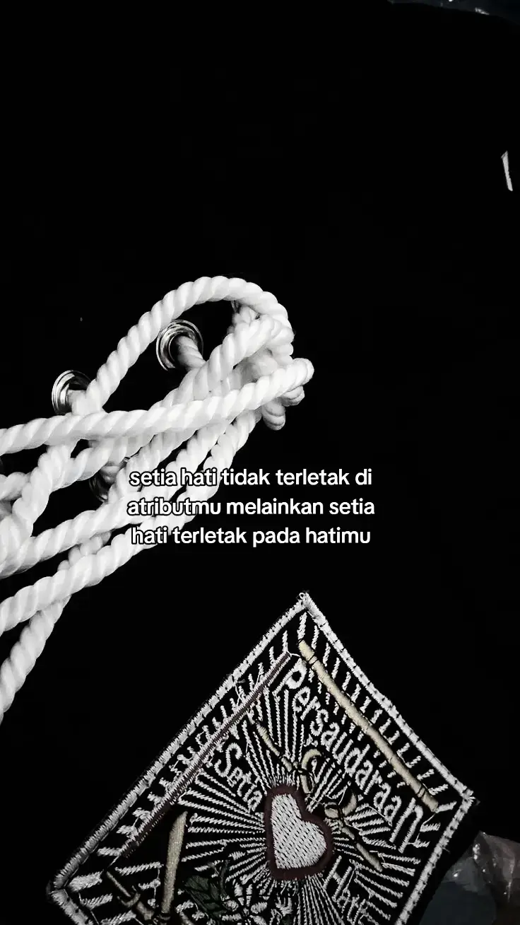 #pshtindonesia22 #pshtpusatmadiun #fyp #trahsetiahati #fyp 