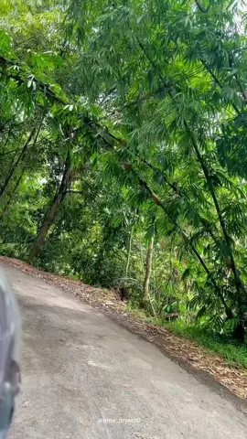 Pesona alam wisata Gunung sereuh hejo #wisataalam#leuwidadeng#bogorbarat 