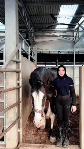 Sayangggggggggg#dellaceblong #equestrian #fyp 