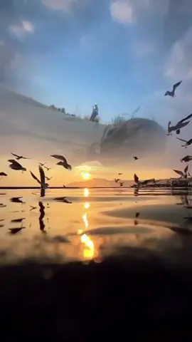 #creatorsearchinsights #viral #video #1millionviews #fyppppppppppppppppppppppp 