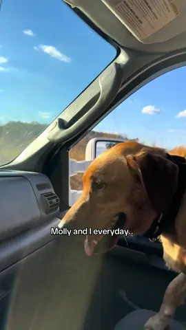 I love it🫶 #ford #diesel #superduty #powerstroke #fyp 