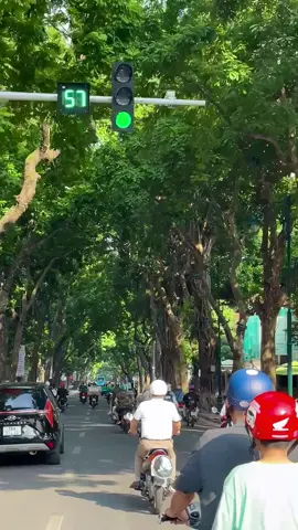 📍PHAN ĐÌNH PHÙNG Đoạn đường nhất định mùa thu phải đi  #muathuhanoi#hanoi#phandinhphung 