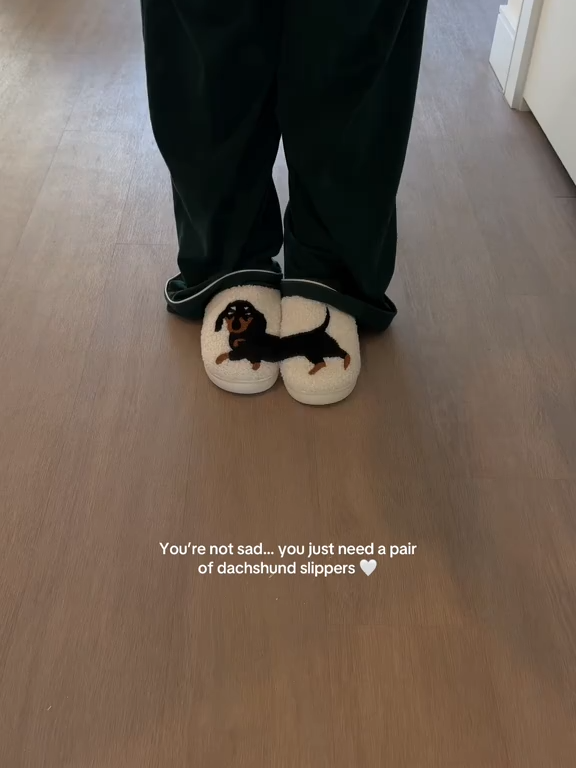 💗Last Day Hot Sale💗Women's Cute & Warm House Slippers#uk #women