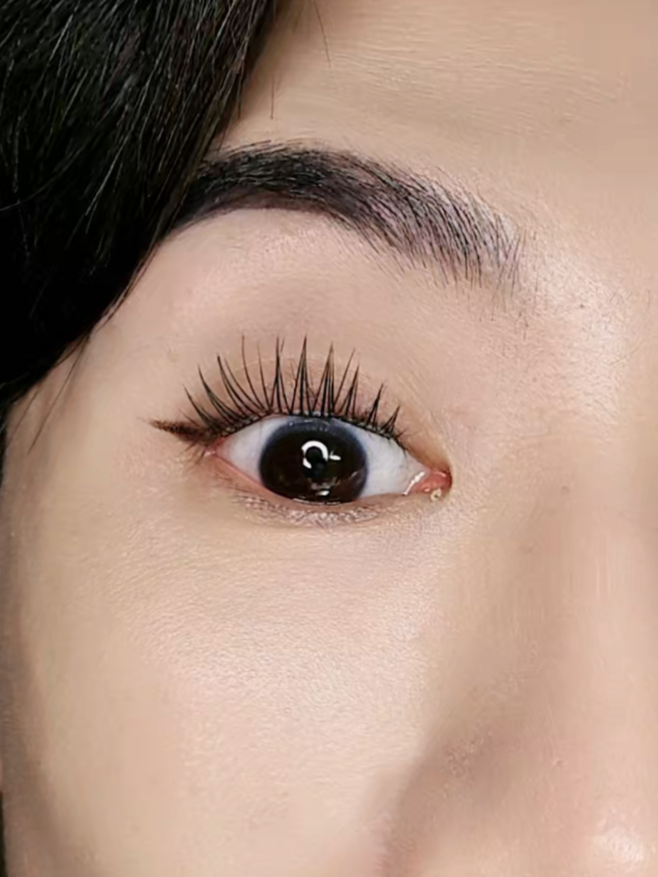 ตอบกลับ @lily57573 #ขนตาปลอม #ขนตามีกาวในตัว #ขนตาปลอมมีกาวในตัว #ป้ายยา #makeup @สอง Song Studio 4289 🩷 @สอง Song Studio 4289 🩷 @สอง Song Studio 4289 🩷 