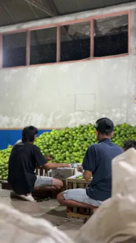 🤙#alpukat🥑 #fyp #pasar #jakarta #medan 