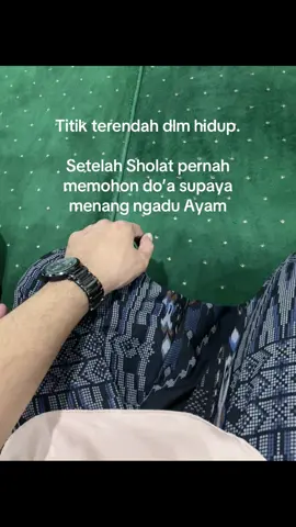 Selalu ingat Tuhan mu dalam Hal apapun dan dimana pun tempat nya .. .#ayambangkoksuper #ayamhoby #pakhoy 