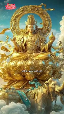 Tu là thay đổichính mình  ##nammoadidaphat##phatphapnhiemmau##phatphap##hoanhy##phattrienbanthan