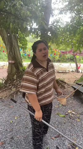 ต้นยายพัด