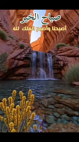صباح  الخير 