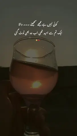 Sad Lines ❤️‍🩹🥺🍂  #urdupoetry #poetrylover #poetrystatus #sadpoetry #foryoupagе 