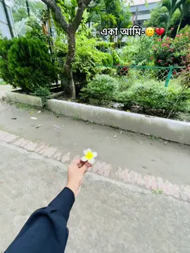 Kew nai 🙂👍 #CapCut #foryoupage #viral 